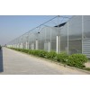 日光溫室建設(shè)，光伏大棚建設(shè),智能連棟溫室,壽光金翰溫室