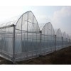 青州溫室大棚建設 濰坊溫室大棚建設 山東溫室大棚建設